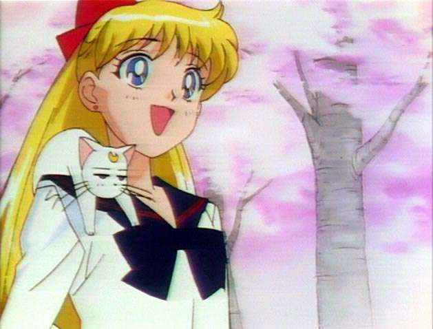 Sailor Venus pics