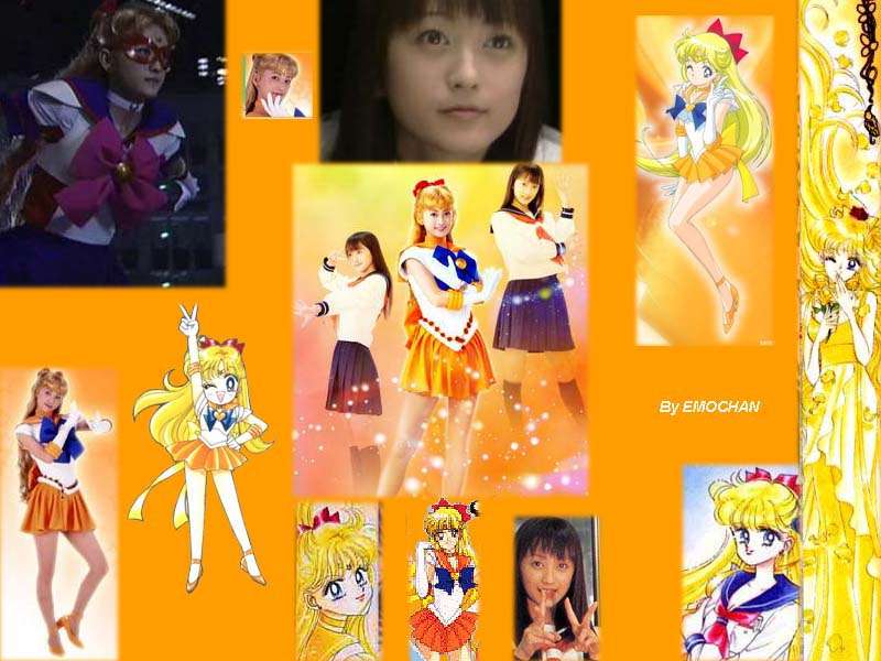 Sailor Venus pics