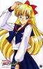 Sailor Venus pics