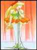 Sailor Venus pics